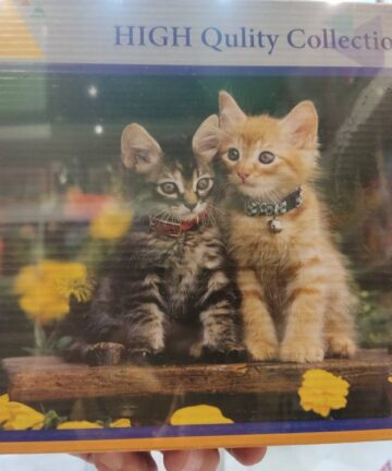 پازل 500 تکه جعبه ای دو گربه